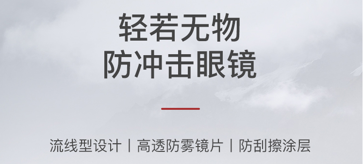 霍尼韋爾300A(圖2)